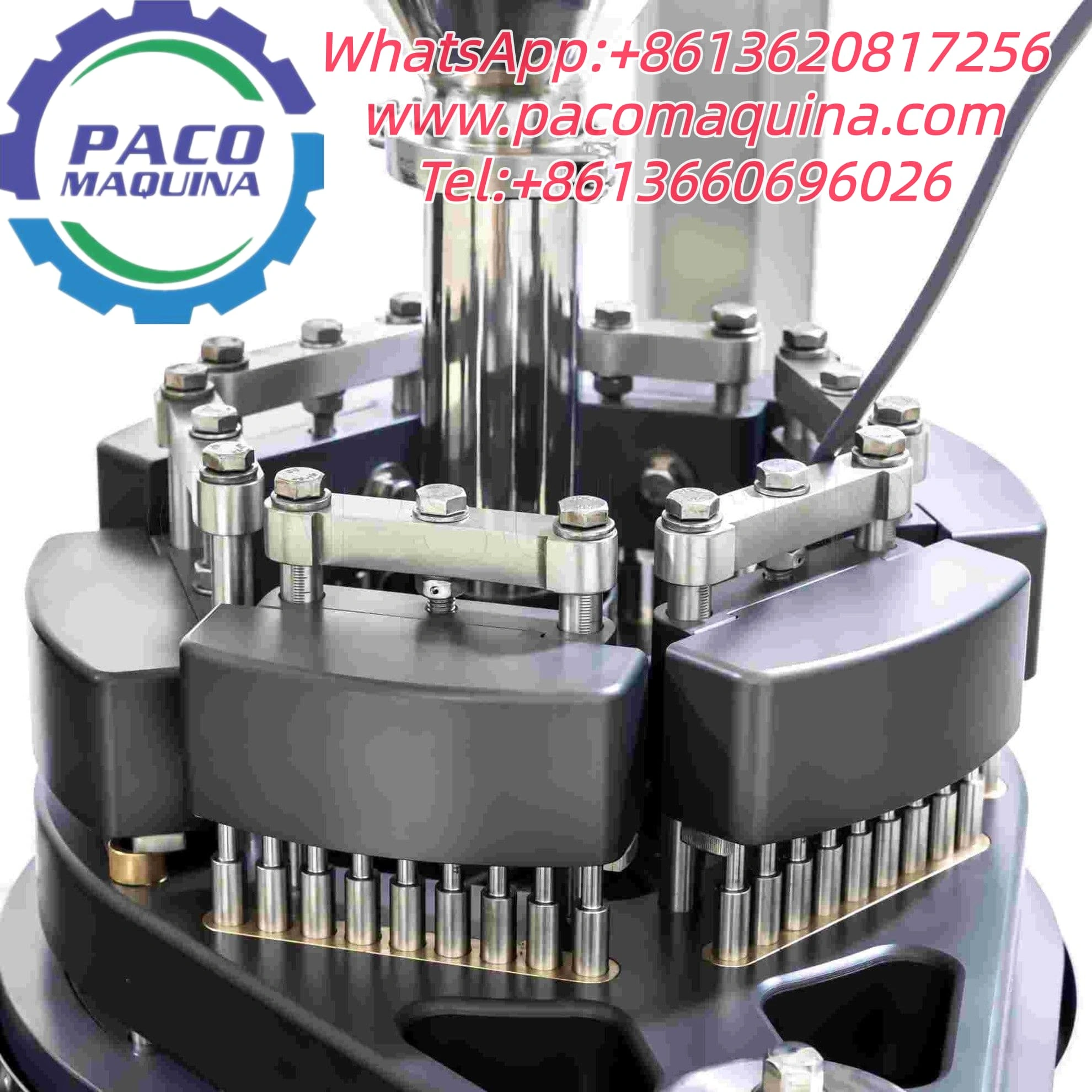 Encapsuladora automática NJP1200D - 图片 3