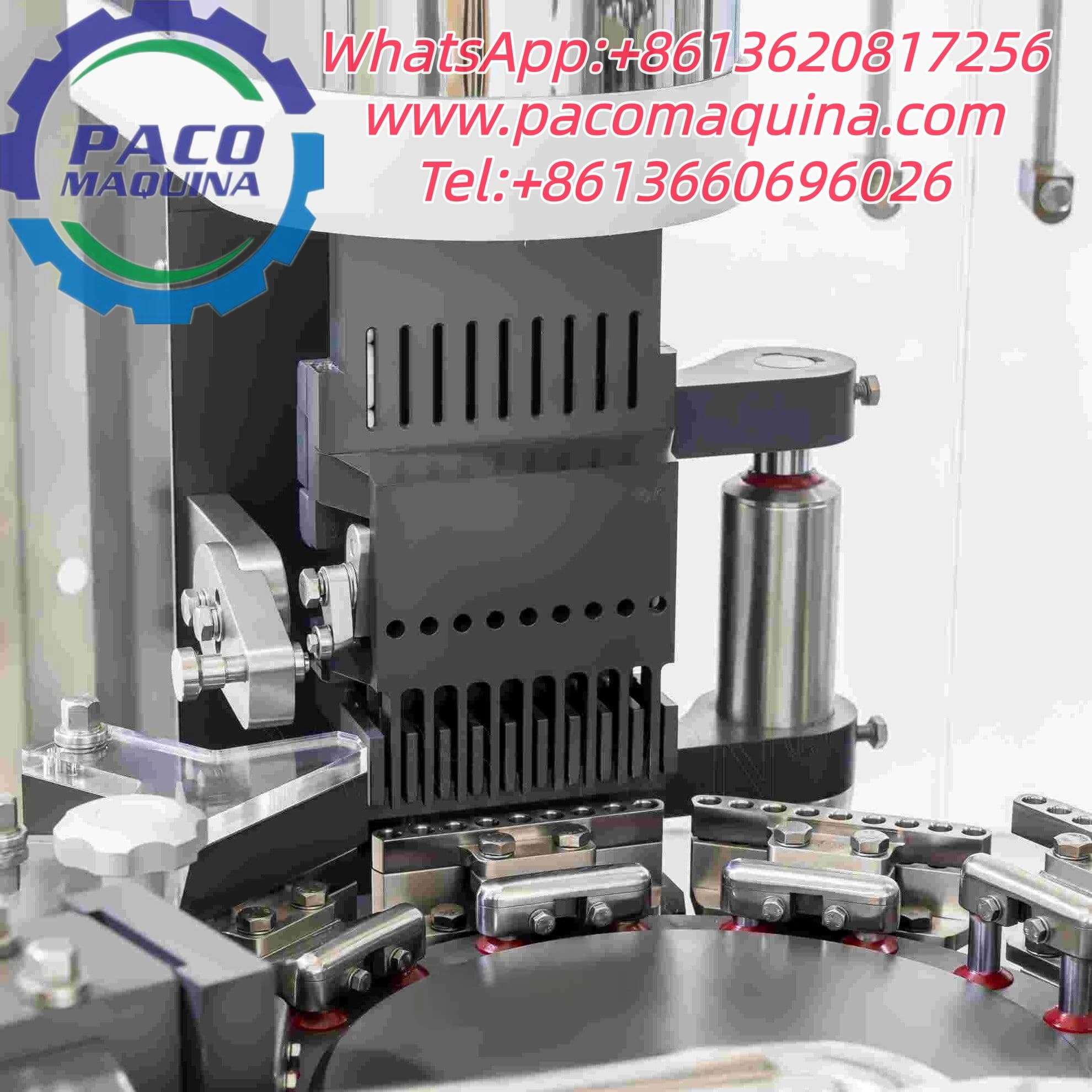 Encapsuladora automática NJP1200D - 图片 2