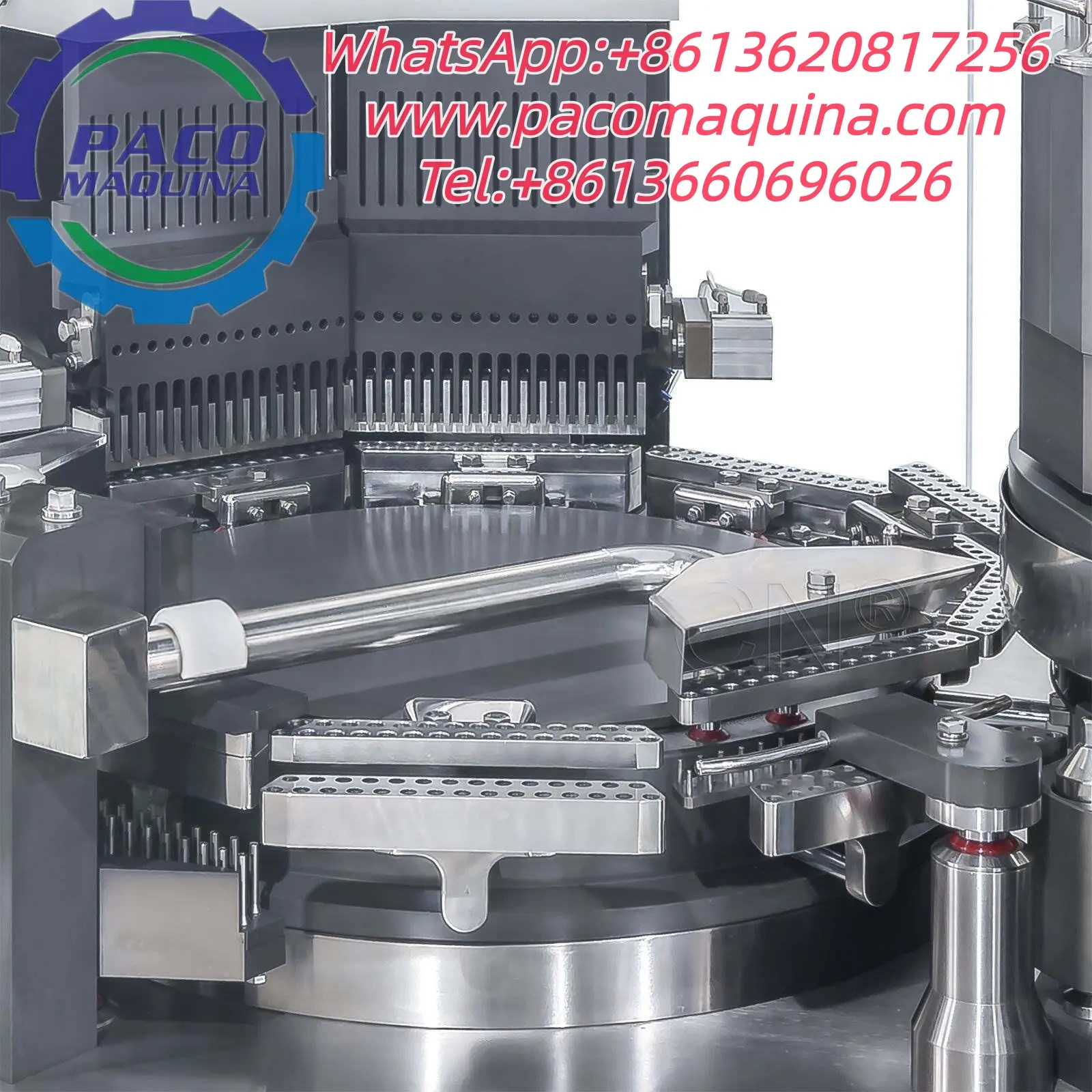 Encapsuladora automática NJP4000D - 图片 5